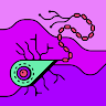 Profile image for María Sofía Maciel