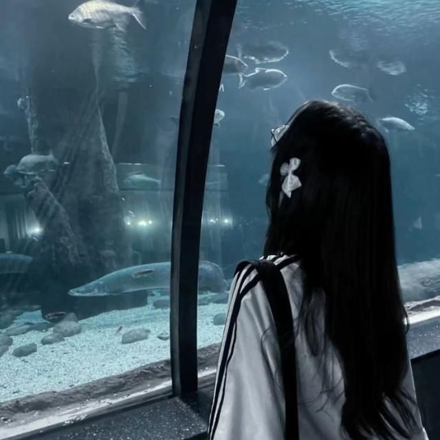 Profile image for Felicia Harlie