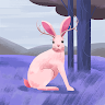 Profile image for Felismina Ucuassapi
