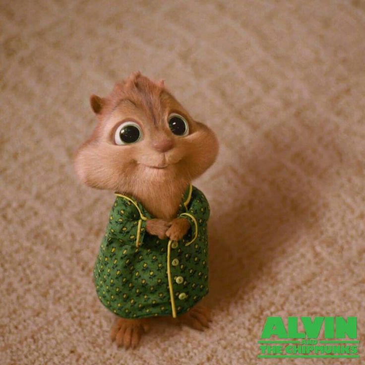 Profile image for Kayla Marsabaya