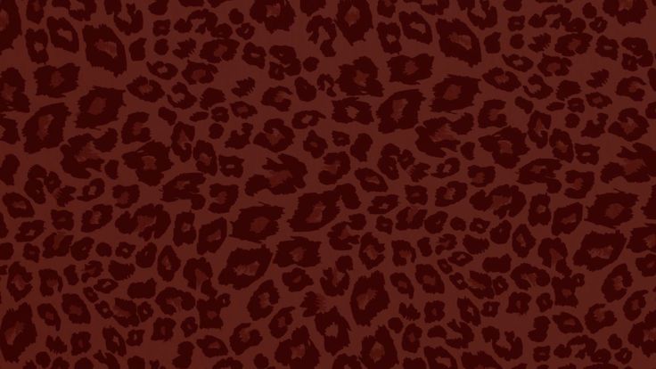 Profile image for Birdy