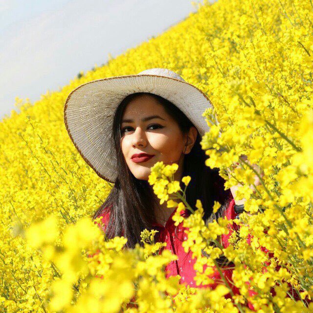 Profile image for Kimia Vanaki