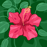 Profile image for Sakshi Choudhary