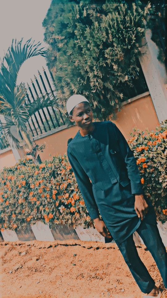 Profile image for Muslim Owoyele