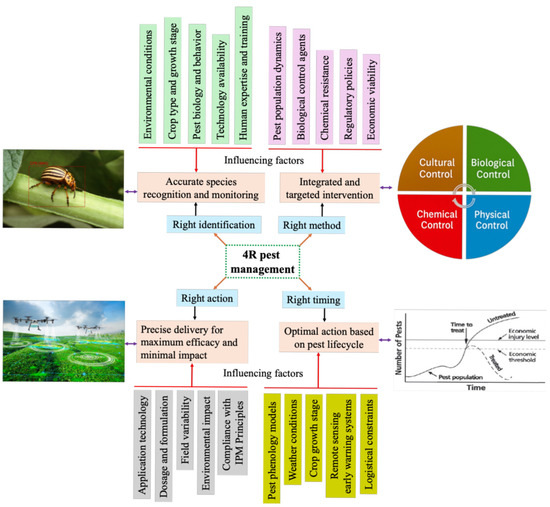 Profile image for Babur Ali Akbar 