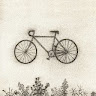 Profile image for Natasya Sucita Silviana