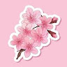 Profile image for ISIS QIAN LI LIU 刘千里