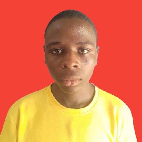 Profile image for Saleh Alhaji Abubakar 