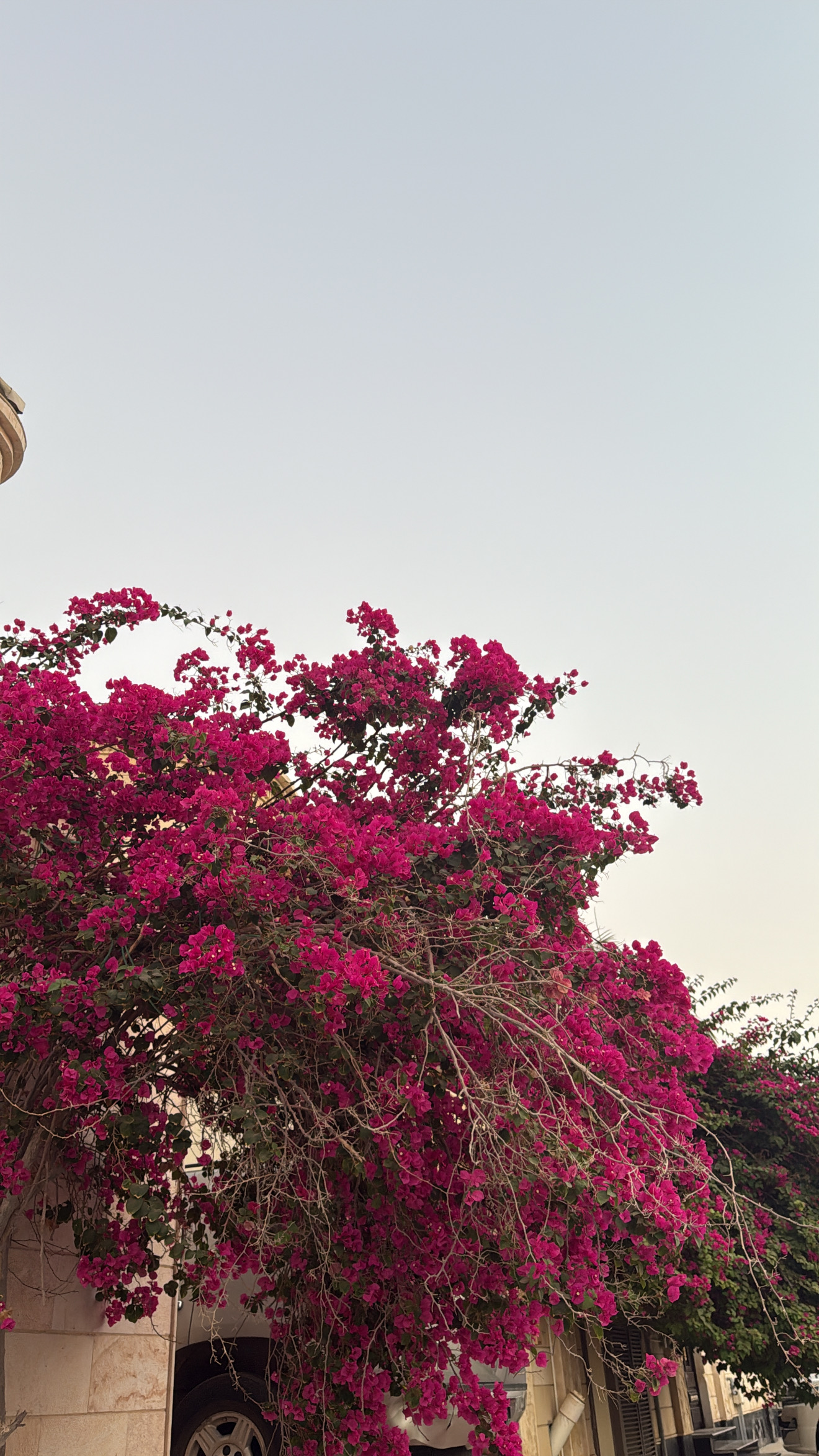 Profile image for Ghala Abdulrhman