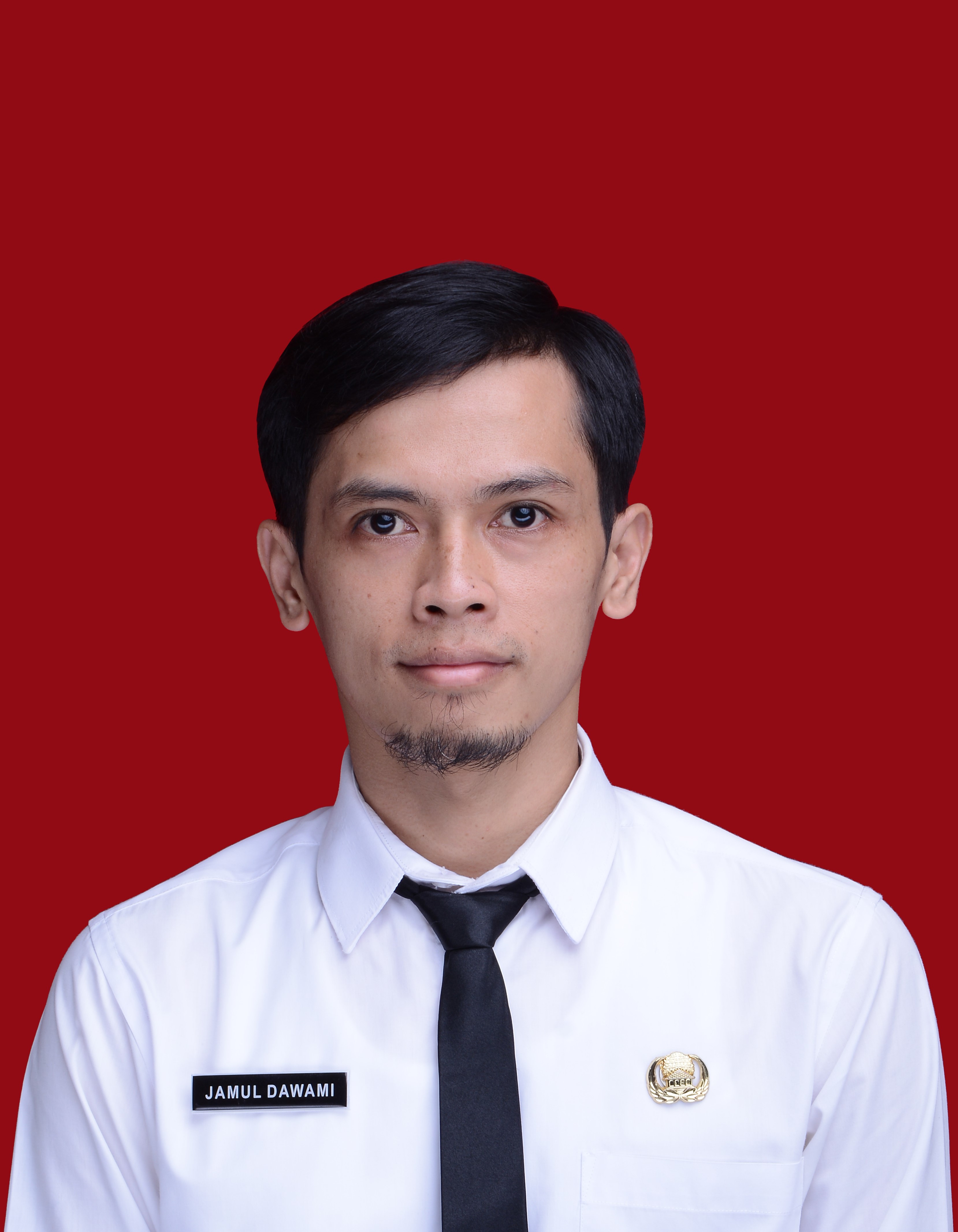 Profile image for Jamul Dawami