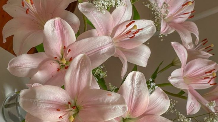 Profile image for Layan