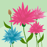 Profile image for Anusha N