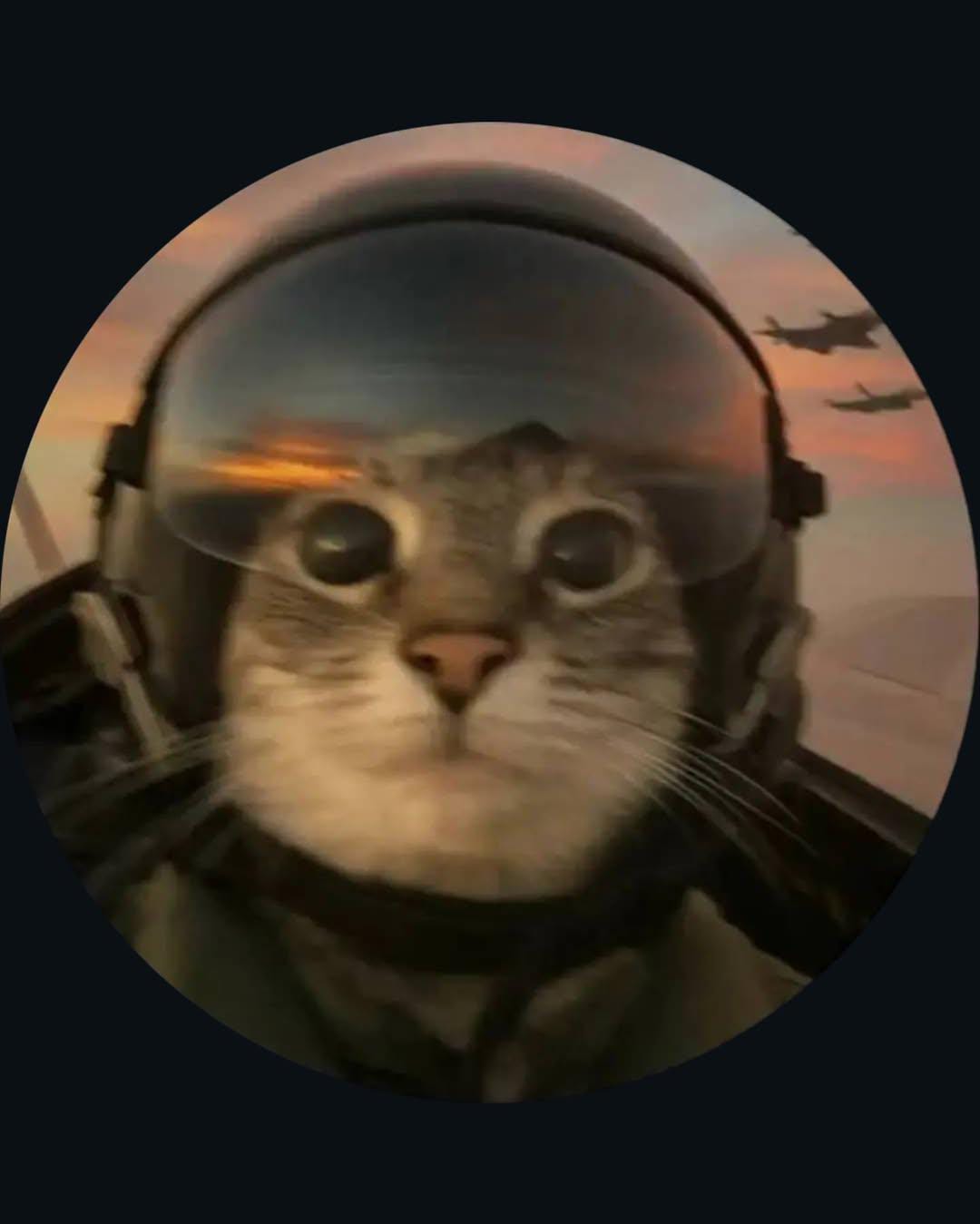 Profile image for Pragati Kaushik