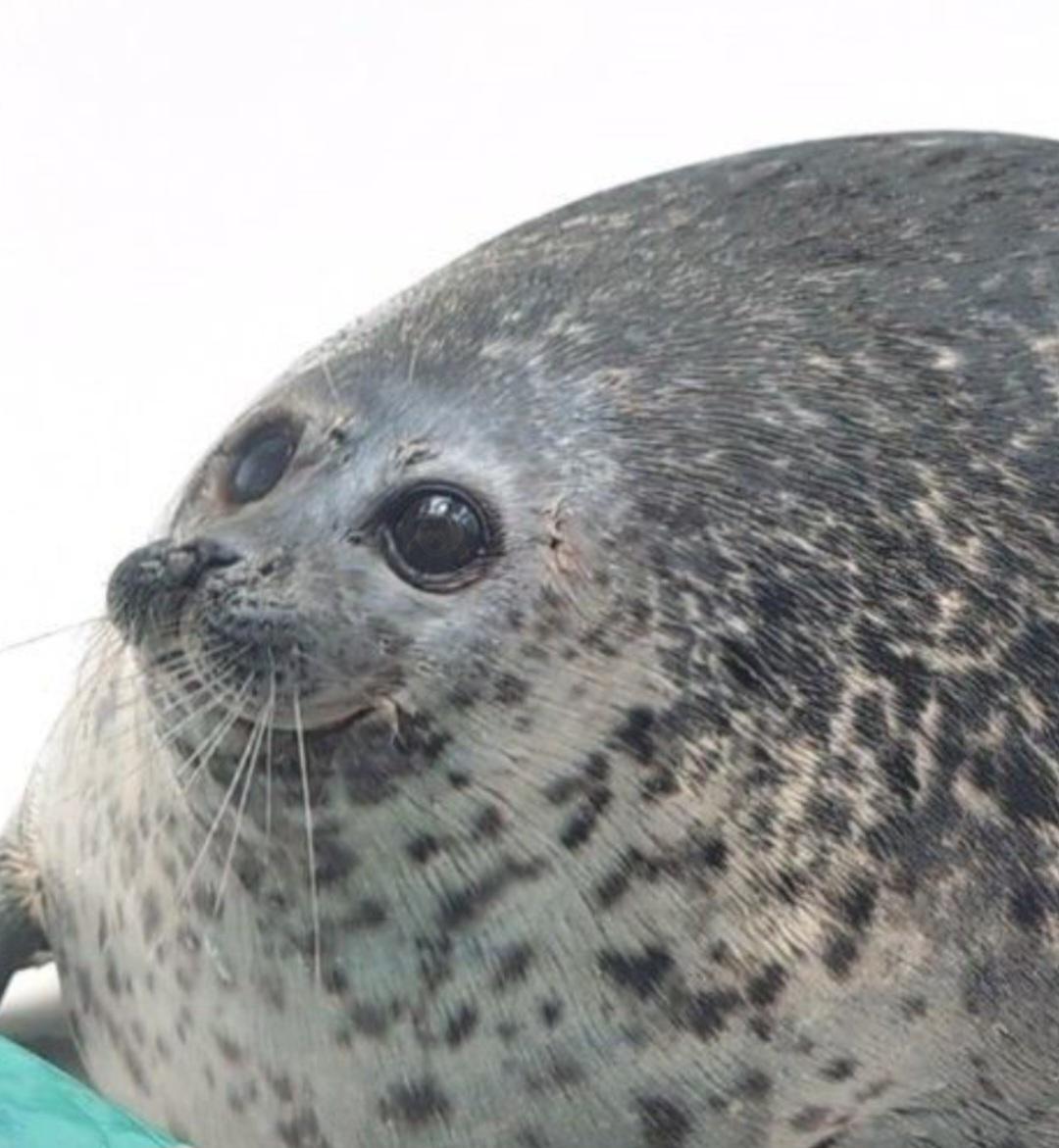 Profile image for Bun Zaragoza