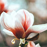 Profile image for Shalini S
