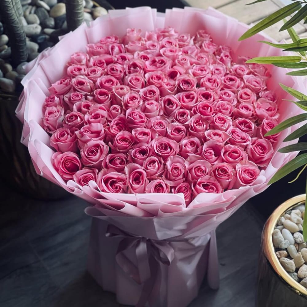 Profile image for Lana Faisal Alsaqer